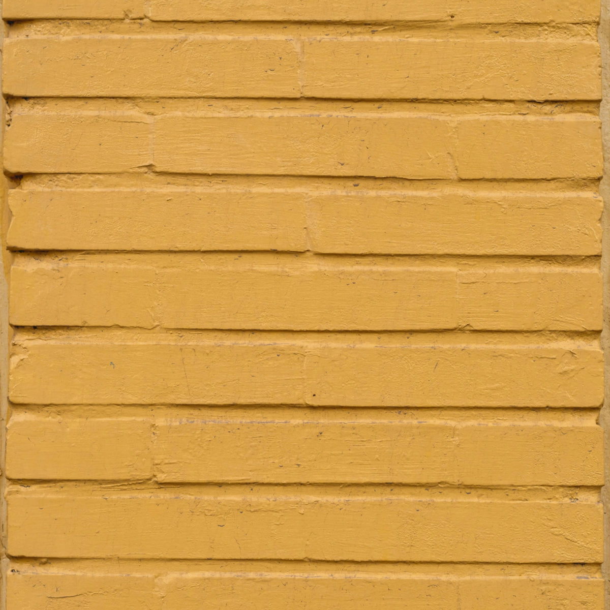 Hoy Explore Organic T-shirt - Faded Mustard - Last One