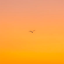 Load image into Gallery viewer, Hoy Classics Embroidered Organic T-shirt - Natural / Sunrise