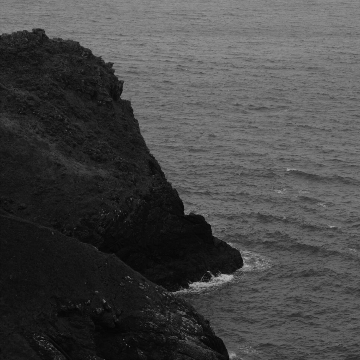 Hoy Uptown T-shirt - Black / Sea Salt