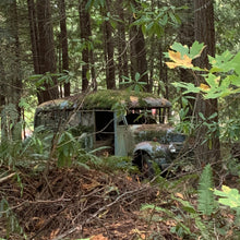 Load image into Gallery viewer, Hoy Organic Daily Beanie - Verde