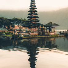 Load image into Gallery viewer, Hoy Organic Daily Beanie - Verde