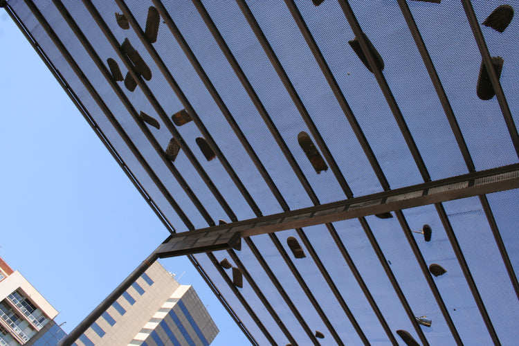 Sants