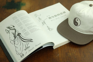 Hoy Yin Yang Five Panel Cap - Earth